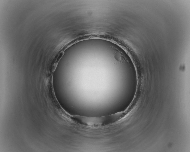 X0000096401257200802071553