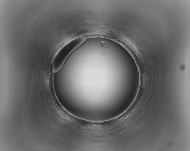 X0000096401260200802071553