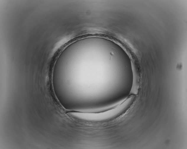 X0000096401261200802071553