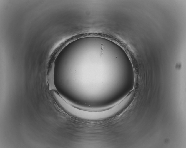 X0000096401262200802071553