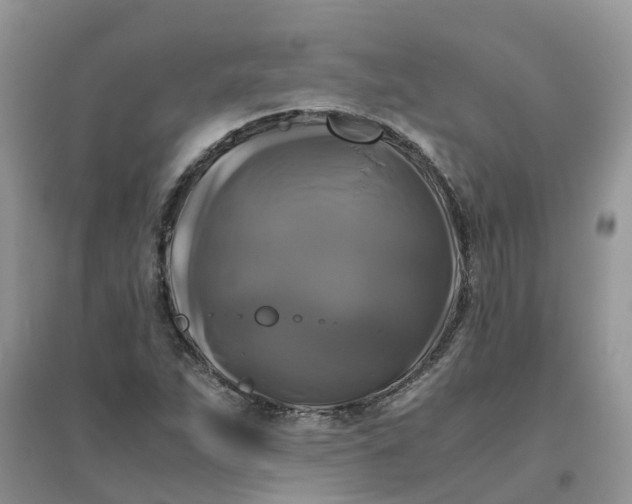 X0000096401263200802071553