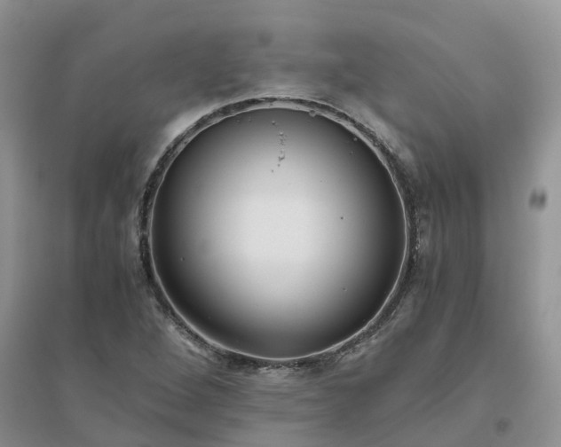 X0000096401264200802071553