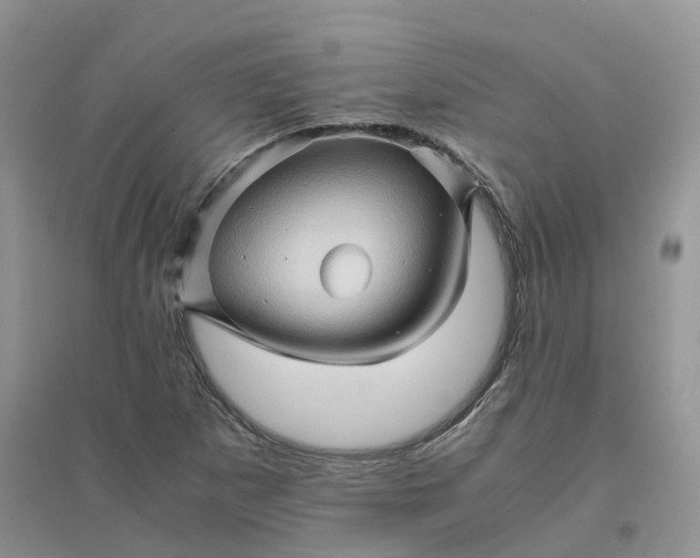 X0000096401265200802071553