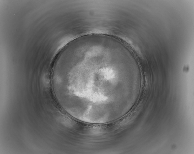 X0000096401266200802071553