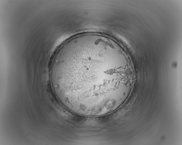 X0000096401267200802071553