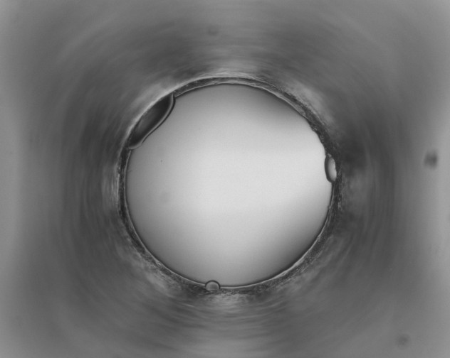 X0000096401268200802071553