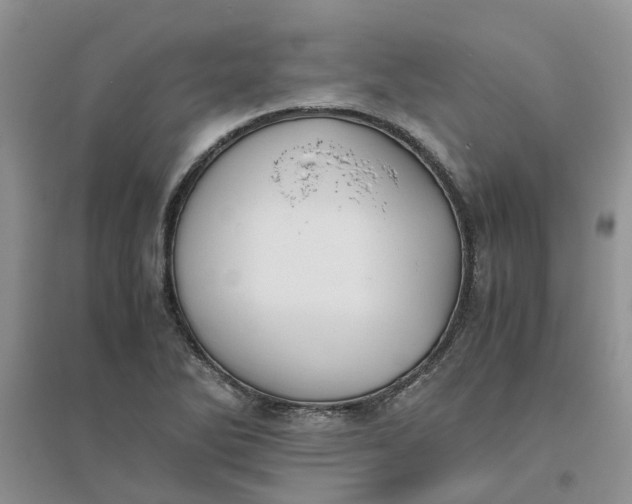 X0000096401270200802071553