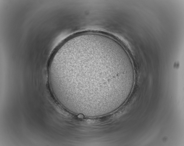 X0000096401271200802071553