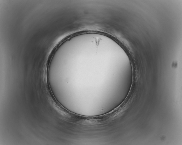 X0000096401272200802071553