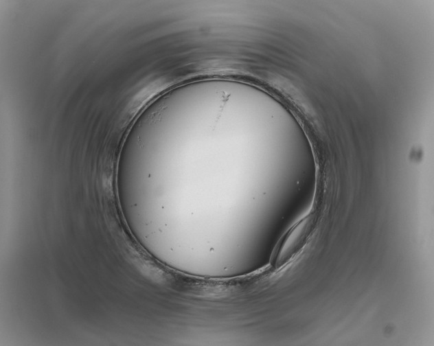 X0000096401273200802071552