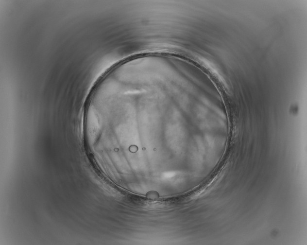 X0000096401275200802071552