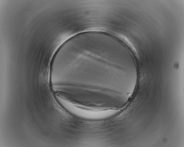 X0000096401276200802071552