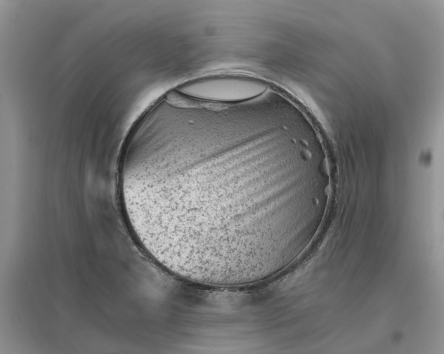 X0000096401277200802071552