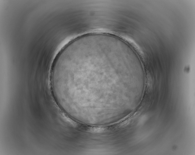 X0000096401278200802071552