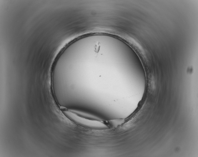 X0000096401280200802071552