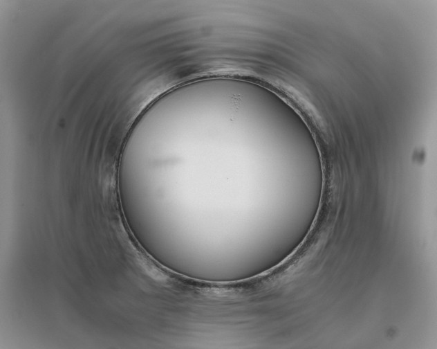 X0000096401281200802071552