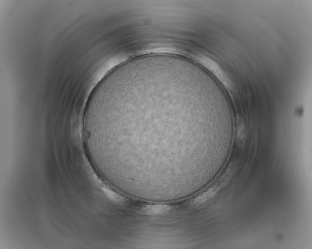 X0000096401282200802071552