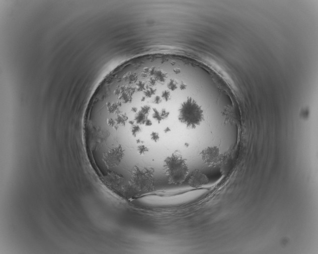 X0000096401283200802071552