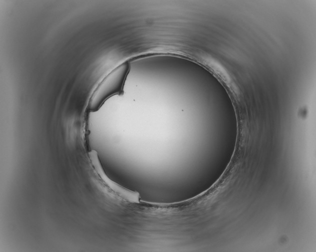 X0000096401284200802071552