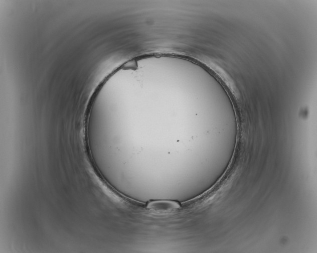 X0000096401285200802071552