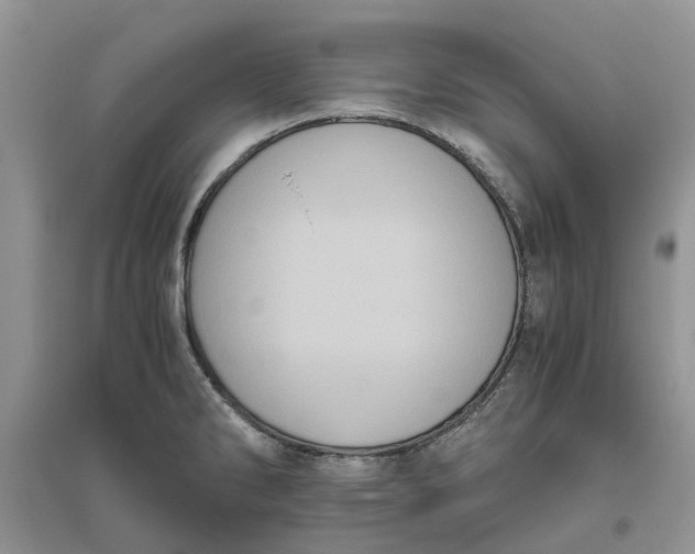 X0000096401286200802071552