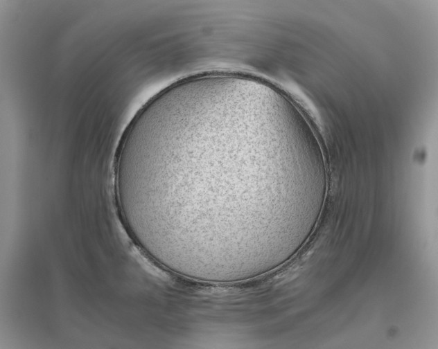 X0000096401287200802071552