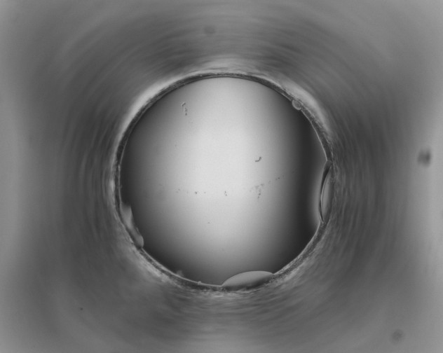 X0000096401288200802071552