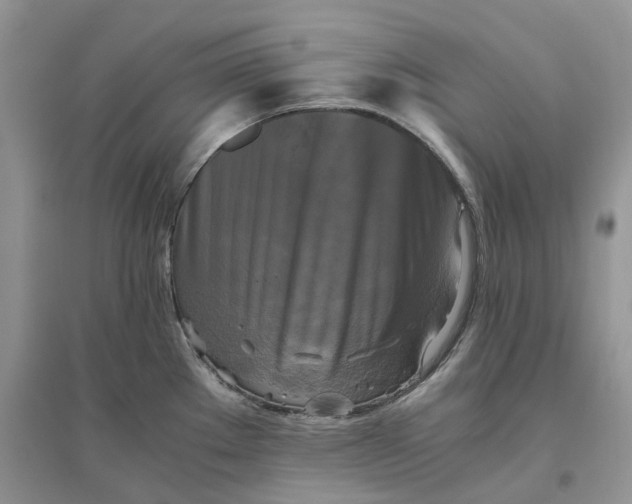 X0000096401289200802071552