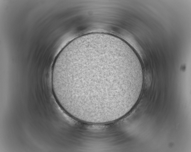 X0000096401290200802071552