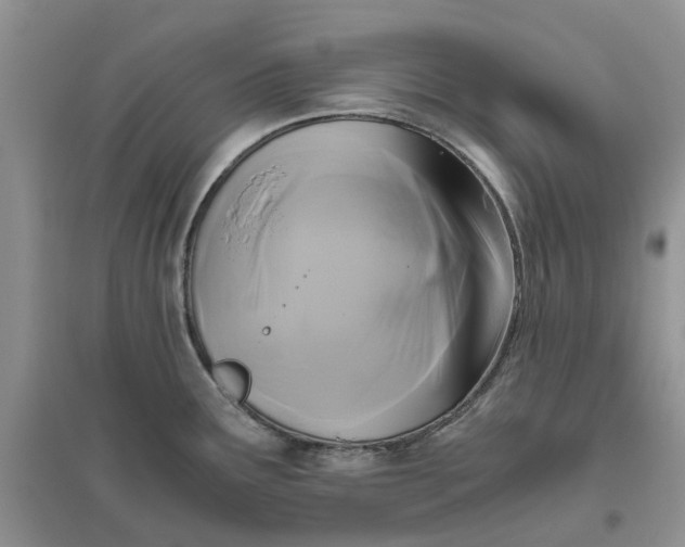 X0000096401291200802071552