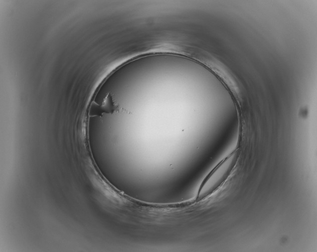 X0000096401292200802071552