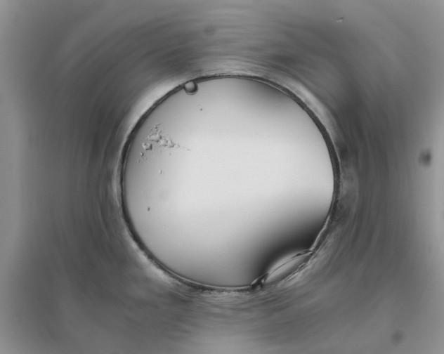 X0000096401293200802071552