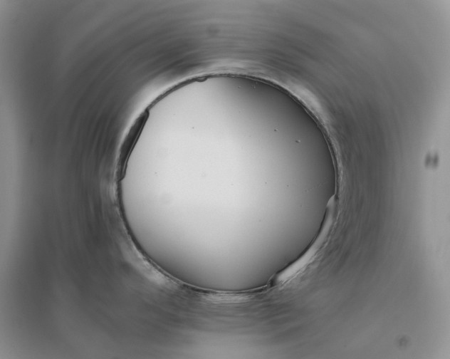 X0000096401296200802071552