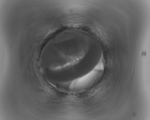 X0000096401297200802071551