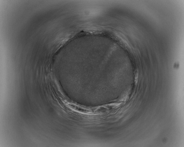 X0000096401298200802071551