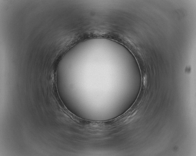 X0000096401299200802071551