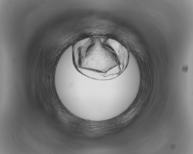 X0000096401300200802071551