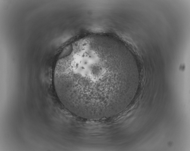 X0000096401301200802071551