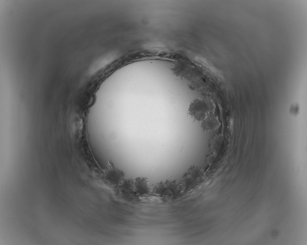 X0000096401302200802071551