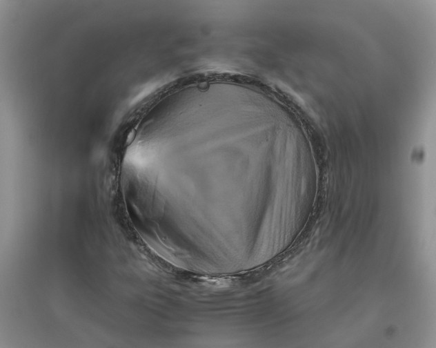 X0000096401303200802071551