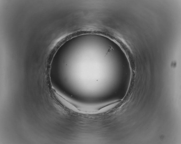 X0000096401304200802071551