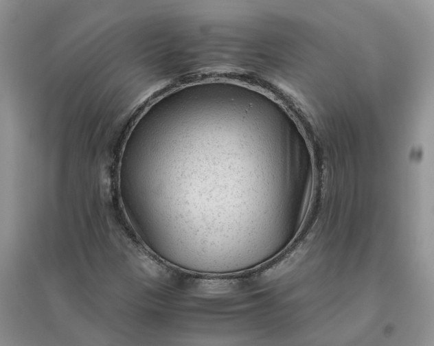 X0000096401305200802071551