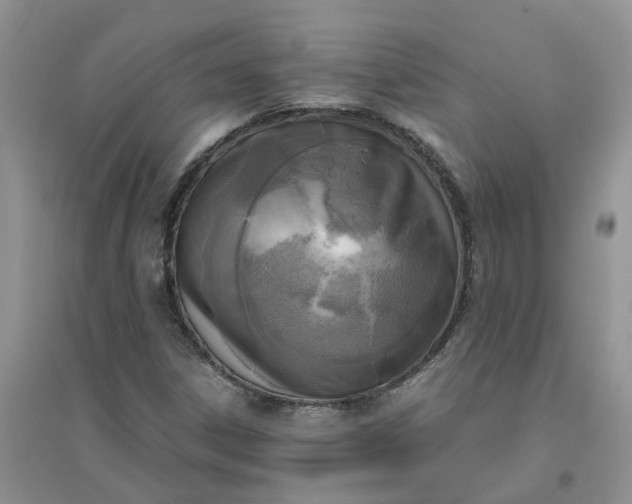 X0000096401306200802071551