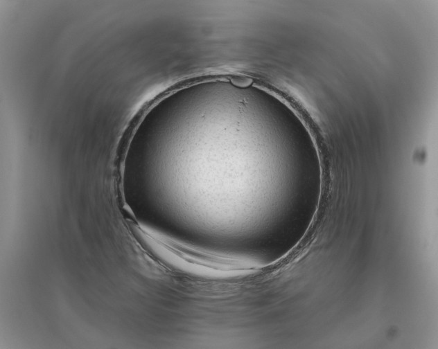 X0000096401308200802071551