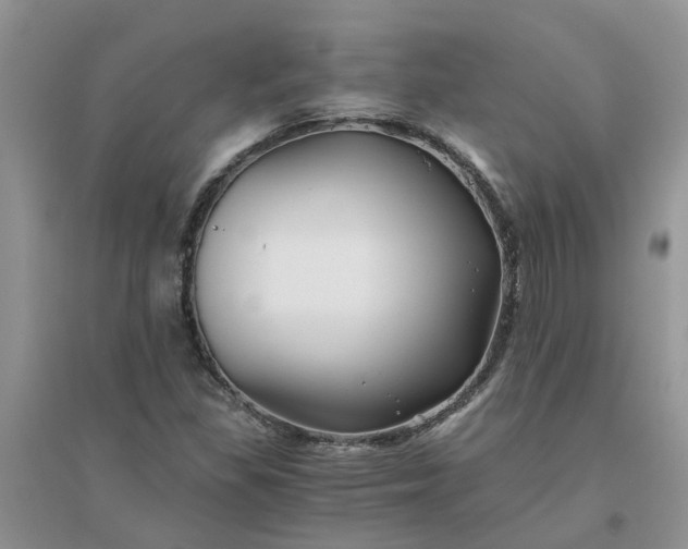 X0000096401309200802071552