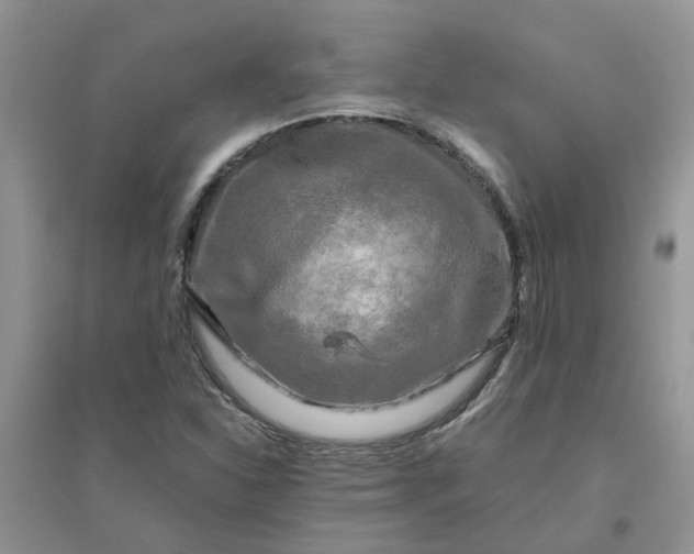 X0000096401310200802071552