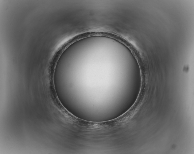 X0000096401311200802071552