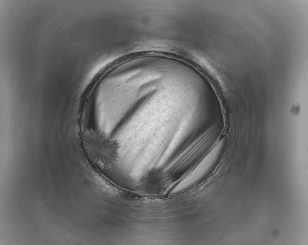 X0000096401312200802071552