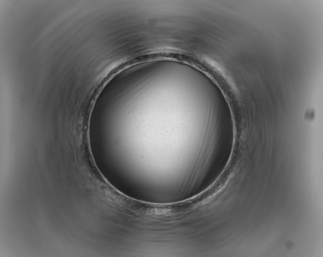 X0000096401313200802071552