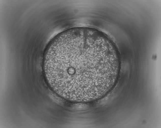 X0000096401314200802071552